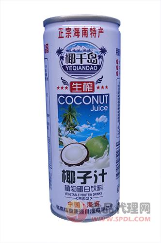 椰千岛 生榨椰子汁植物蛋白饮料
