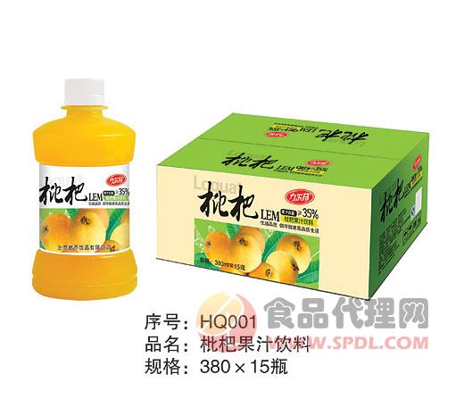 韩乔枇杷果汁饮料（380ml×15瓶）