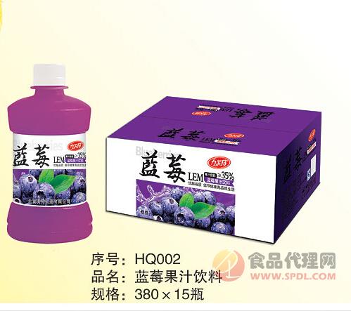韩乔蓝莓果汁饮料（380ml×15瓶）