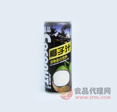 龙品椰子汁植物蛋白饮料260ml