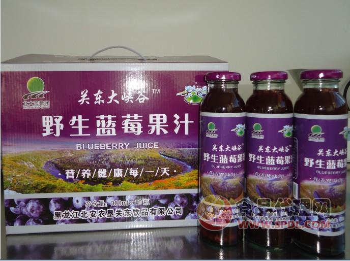 关东饮品野生蓝莓果汁 300ml