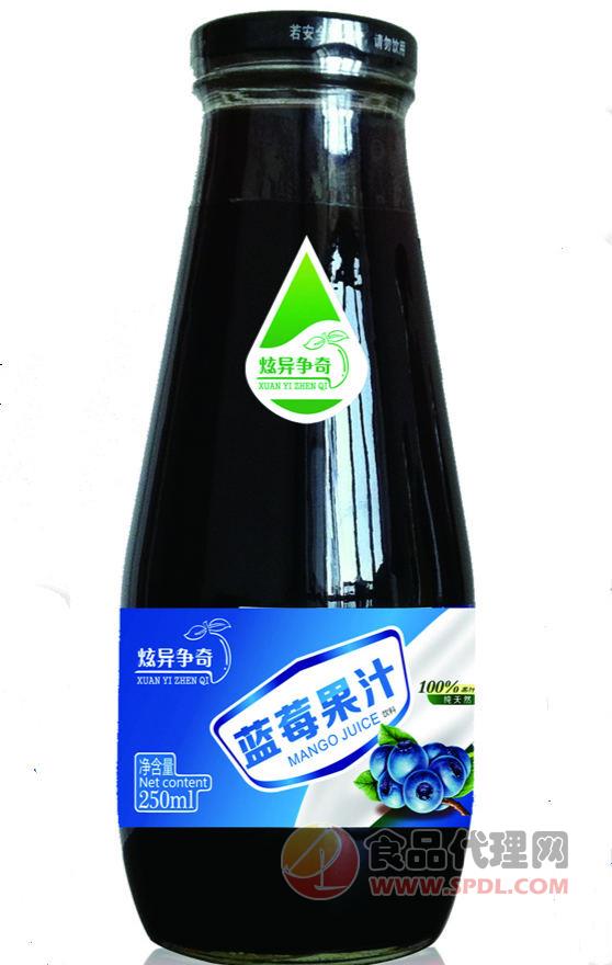 炫异争奇蓝莓果汁饮料250ml