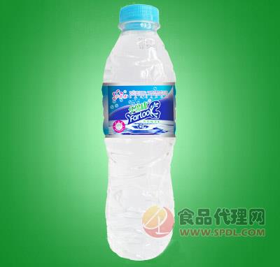 华鲁康纯净水500ml