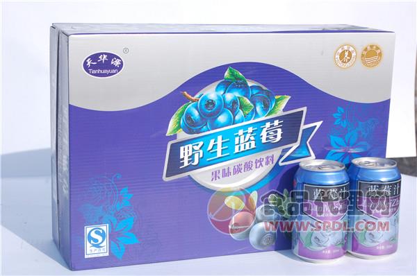 天华源蓝莓汁320ml/罐