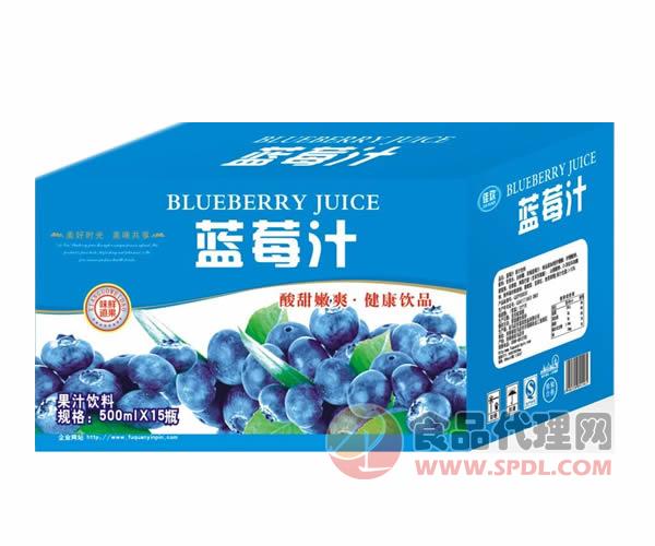 富泉450ml蓝莓汁