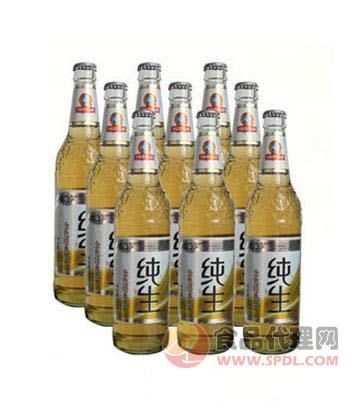 青岛金色经典纯生啤酒500ml