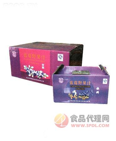 景源蓝莓野果汁(箱装)200ml
