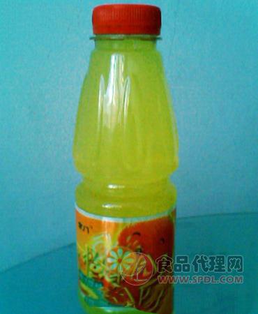 京门500ml橙汁