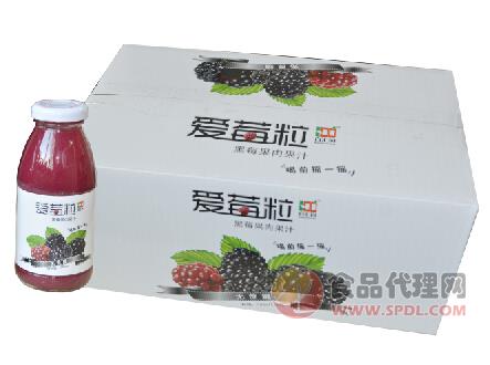 百汇园爱莓粒系列黑莓果汁245ml