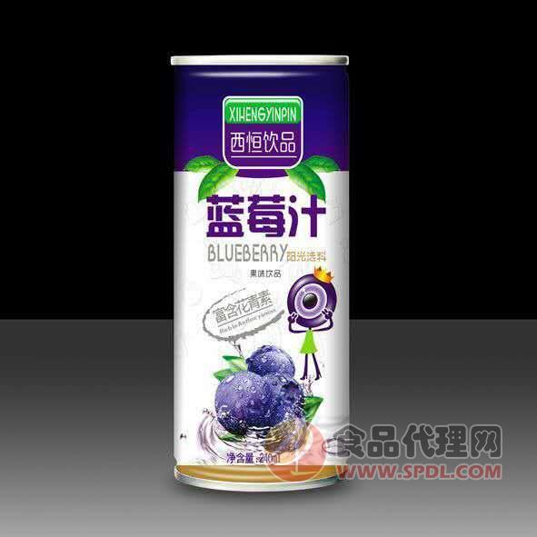 西恒蓝莓汁果味饮品240ml