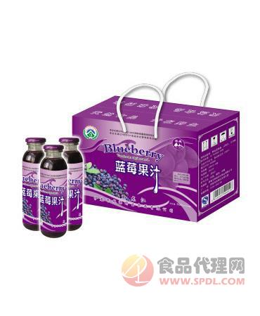林海蓝莓果汁300ml