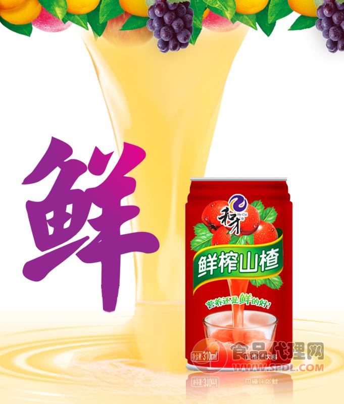 和才NFC（非浓缩还原）鲜榨果汁饮料代理310ml山楂汁