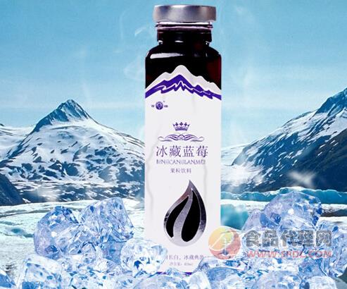 冰藏蓝莓果汁500ml