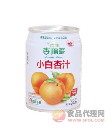 森王罐装小白杏汁245ml