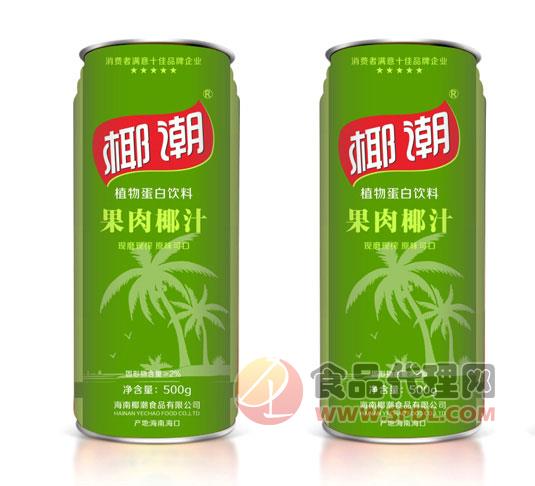 椰潮植物蛋白饮料500g
