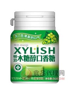 明治木糖醇口香糖青提薄荷型 50克