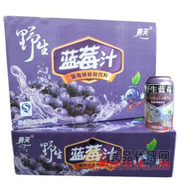 赛天野生蓝莓汁碳酸饮料310ml