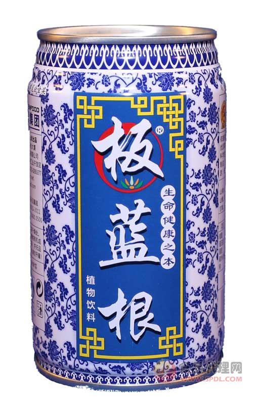 板蓝根养生饮料310ml