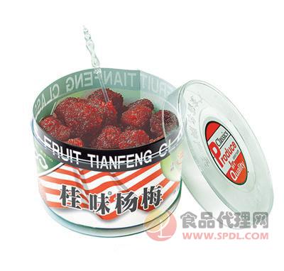 天凤桂味杨梅罐装200g