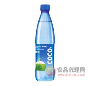 康之味盐典coco 500ml