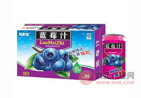 隐形宝蓝莓汁碳酸饮料325ml×24