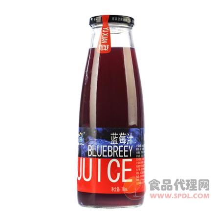 煜轩蓝莓汁750ml