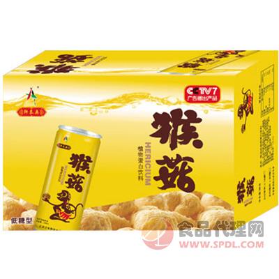 轩泰奥猴菇植物蛋白饮料 240ml