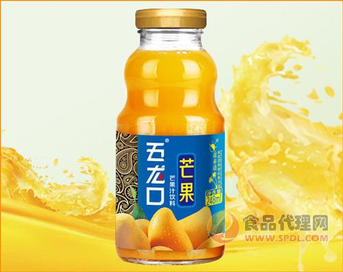 五龙口芒果汁饮料248ml