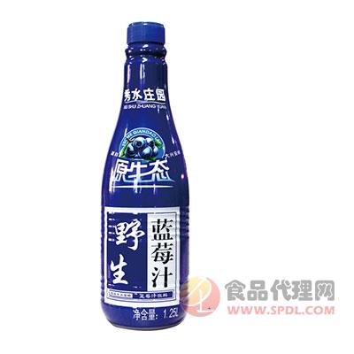 PE蓝莓汁 1.25L