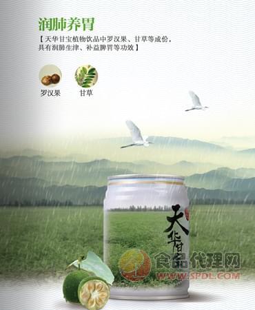 天华甘宝润肺养胃植物饮品罐装