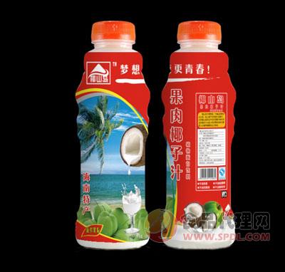 椰山岛果肉椰子汁瓶装500ml