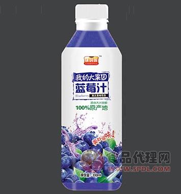 康润源蓝莓汁350ml