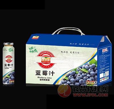 康润源蓝莓汁300ml