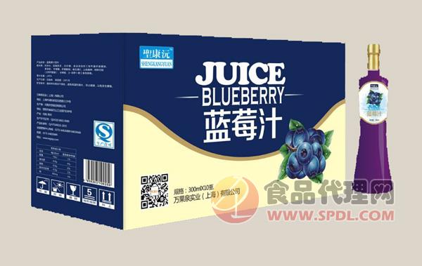 聖康沅蓝莓汁300mlX10瓶