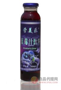 营美乐 蓝莓汁300ml/瓶
