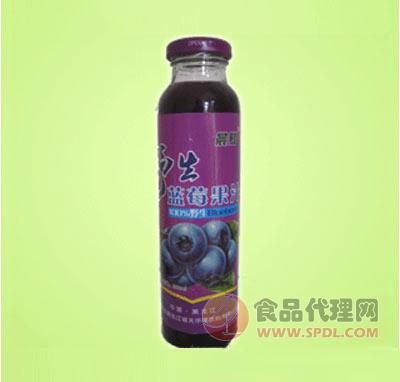 晨鹭野生蓝莓果汁瓶装