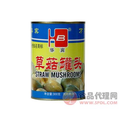 金华宾草菇罐头300g招商