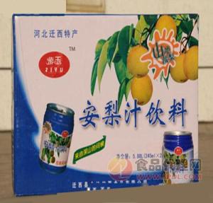 东佳安梨汁（清爽型）箱装