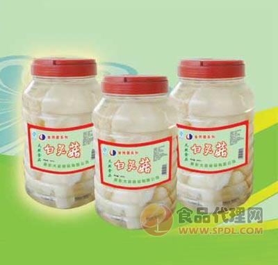 大辰食用菌系列-白灵菇瓶装