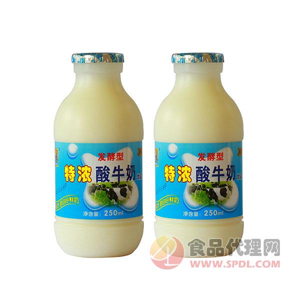 南国乳业发酵型特浓酸牛奶250ml