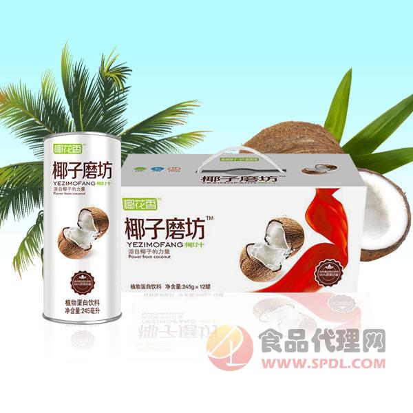 椰子磨坊椰汁植物蛋白饮料礼盒245gx12罐