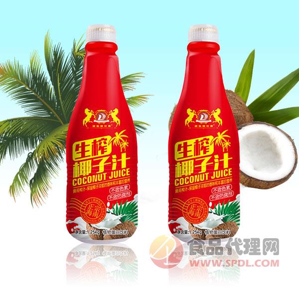 椰花香生榨椰子汁植物蛋白饮料喜庆装1.25kg