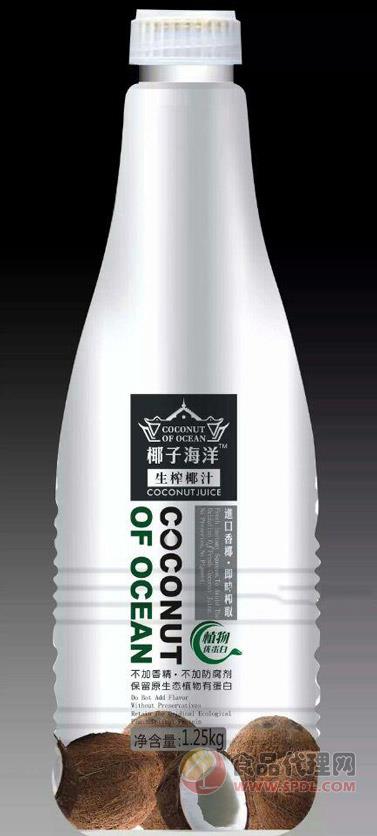 植物蛋白饮料生榨椰子汁1.25Kg/瓶