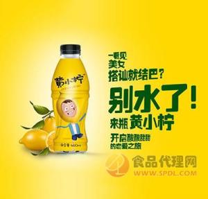 黄小柠柠檬味维生素饮料效果460ml