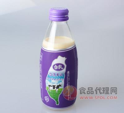 台湾牛乳布丁味240ML/瓶