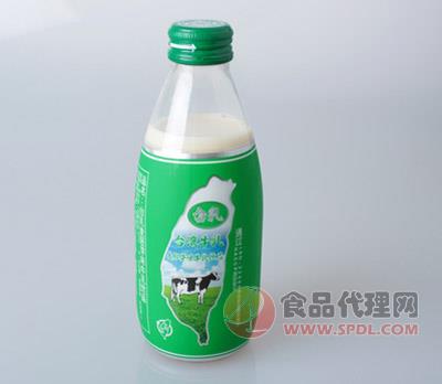 台湾牛乳麦胚芽味240ML/瓶