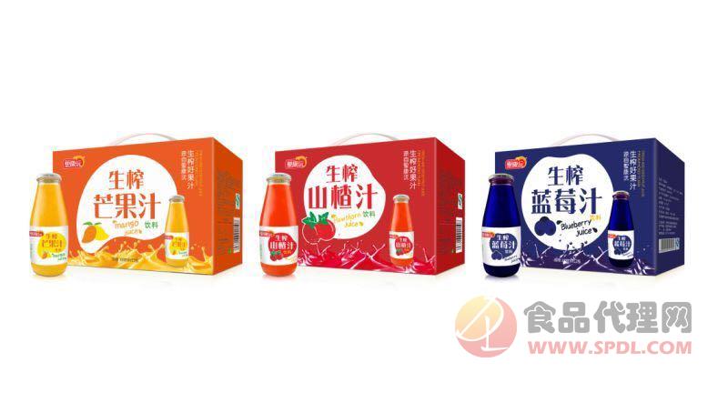 聖康沅 生榨果汁系列（芒果，山楂，蓝莓） 箱装