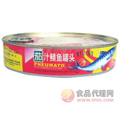 粤花茄汁鲭鱼罐头罐装
