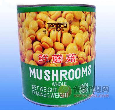 通福鲜蘑菇罐头2840克