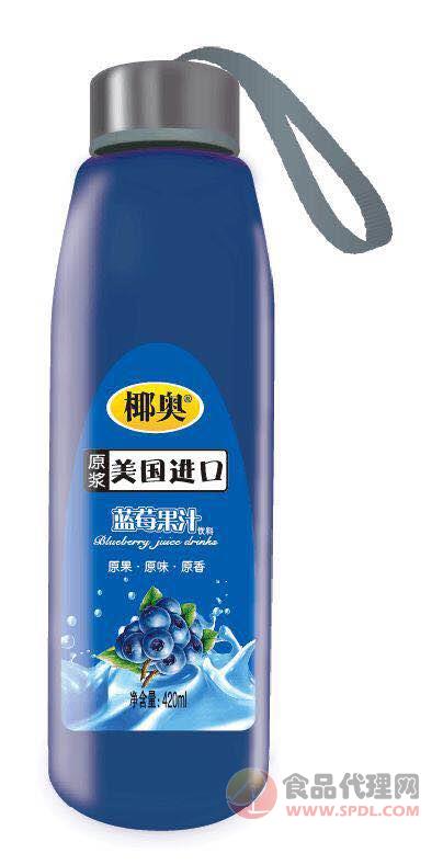 椰奥蓝莓果汁420mlX12瓶